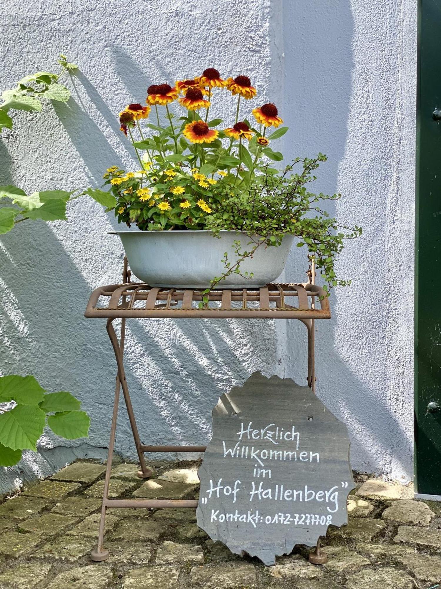 Hof Hallenberg Esterno foto